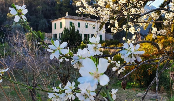 Agroturisme Finca Sa Maniga