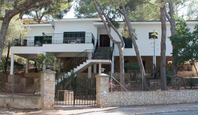 The White House in Mallorca for cycling