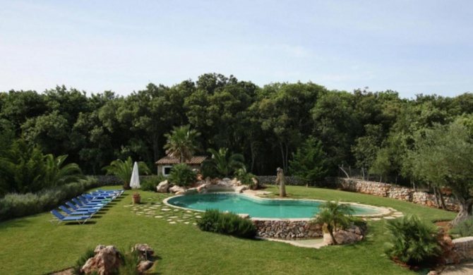 Spacious holiday home in Pollenca with private pool